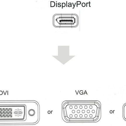 Universal DisplayPort Converter Cable