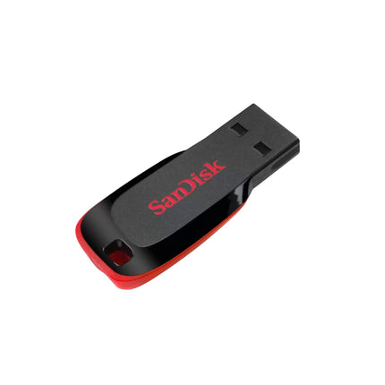 SanDisk Cruzer Blade 2.0 32GB Flash Drive - Brainy